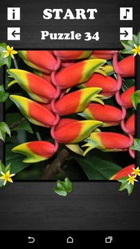 Exciting Puzzle - Flowers游戲截圖3