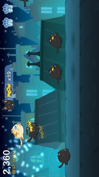 Meow Run游戲截圖2