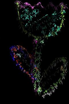 Spark Art游戲截圖3