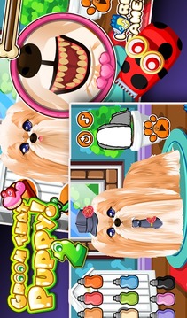 Puppy Grooming Care游戲截圖3