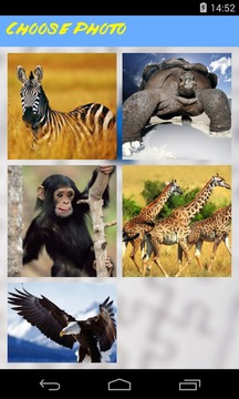 Animals Jigsaw Puzzle游戲截圖2