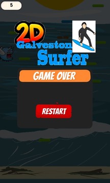 Galveston Endless Surfer游戲截圖3