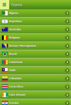 World Cup: Brazil 2014游戲截圖4