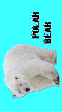 Toddler Animal Sounds - Roars!游戲截圖2
