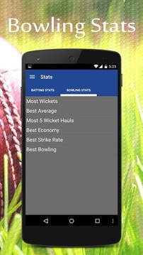 T20 IPL 2015 Live Updates游戲截圖1