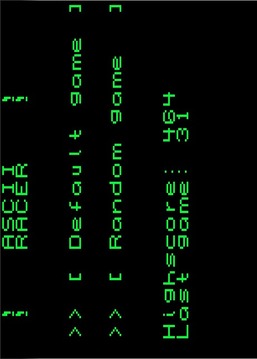 ASCII RACER游戲截圖3