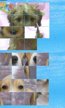 puzzle dog a(4x4)游戲截圖1