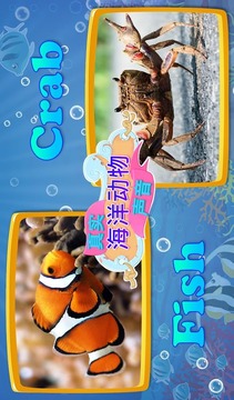 真正的海洋動物聲音V1.0.0游戲截圖1