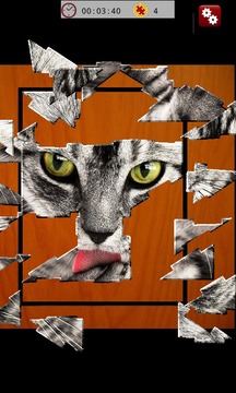Jigsaw Quest Cats游戲截圖4