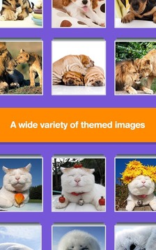Jigsaw Puzzle - Pet Animal Fun游戲截圖4