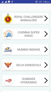 IPL Cricket 2018游戏截图1