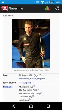 Snooker Scores游戲截圖5