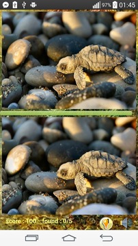 Photo Hunt Animal Game游戲截圖2