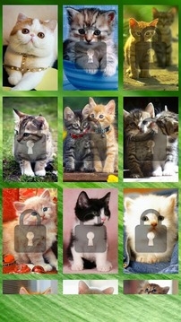 Cute Cat Swap Puzzle for Kids游戲截圖1