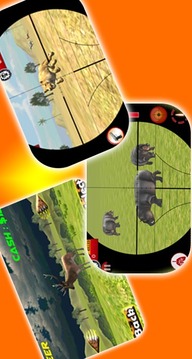 Safari Animal Hunting游戲截圖2