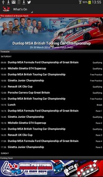 Brands Hatch LIVE!游戲截圖3