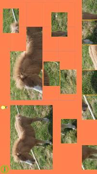 Horse Puzzle For Kids游戲截圖4