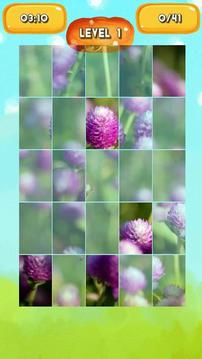 Globe amaranth Jigsaw Puzzles游戲截圖5