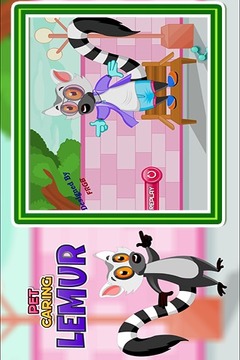Pet Caring Lemur游戲截圖5