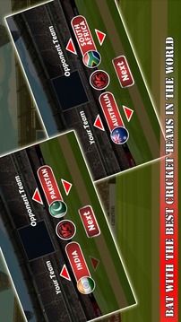 Ultimate Power Cricket游戲截圖2