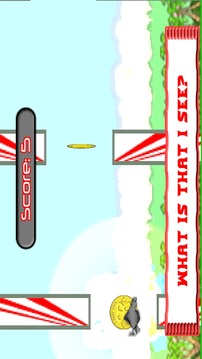 Animal Run: Flapping Frenzy!游戲截圖4