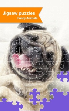 Jigsaw Puzzle - Pet Animal Fun游戲截圖1