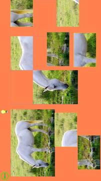 Horse Puzzle For Kids游戲截圖3