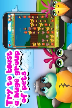 Pet Dash Mania游戲截圖4