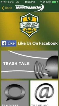 Green Bay Football STREAM游戲截圖4