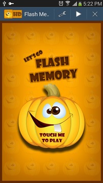 Flash Memory游戏截图1