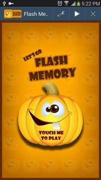 Flash Memory游戲截圖1