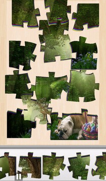 Live Jigsaws - Spring is Here游戲截圖5