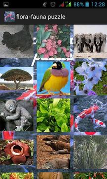 Flora Fauna Puzzle游戲截圖1