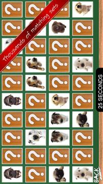 Memory Unlimited游戲截圖2