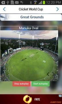 Cricket World Cup游戲截圖2