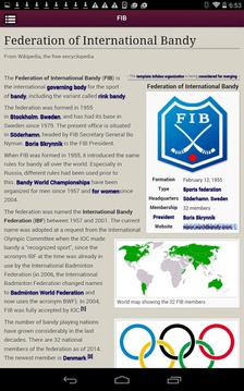 International Bandy游戲截圖4