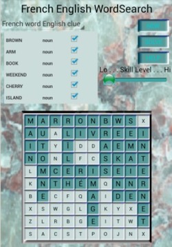 French English WordSearch游戲截圖3
