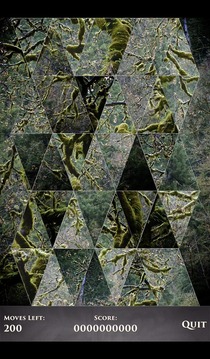 PuzzleSwap - Along the Trail游戲截圖1