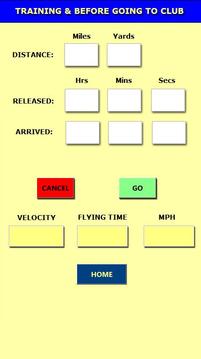 Racing Pigeon Speed游戲截圖3