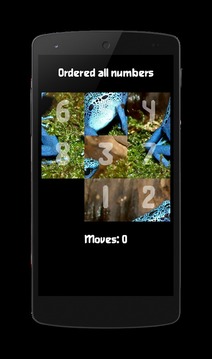Image Puzzle Classic游戲截圖1