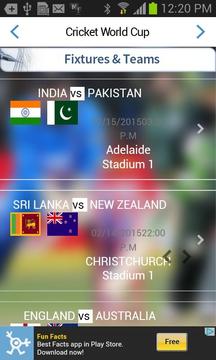 Cricket World Cup游戲截圖1