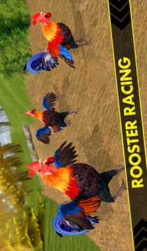 Rooster Race and Run Game游戲截圖3