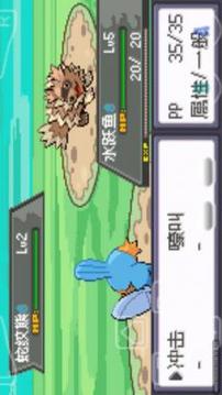 口袋妖怪：綠寶石游戲截圖2