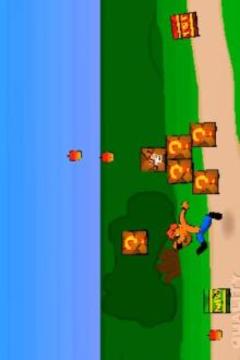Crash Wolf Bandicoot游戲截圖1