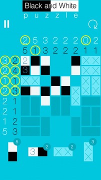 Black and White puzzle游戲截圖3