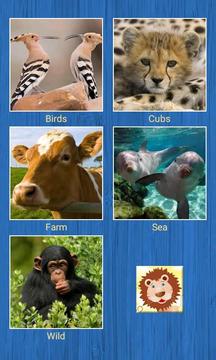 Slide Puzzle -Animals游戲截圖1