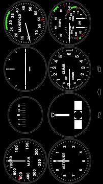 DCS P-51D Instruments游戲截圖2