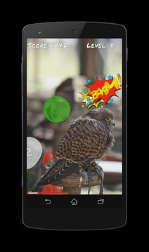 Pop the Balloon Game HD Free游戲截圖5