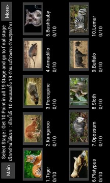 World Mammal - Animal Quiz游戲截圖2