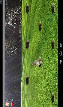 Squirrel Hunter Game游戲截圖2